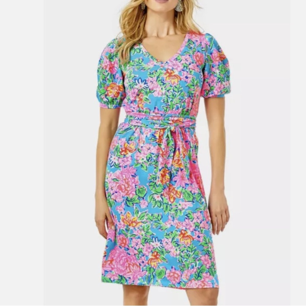 Lilly Pulitzer Isolde Dress Size Small